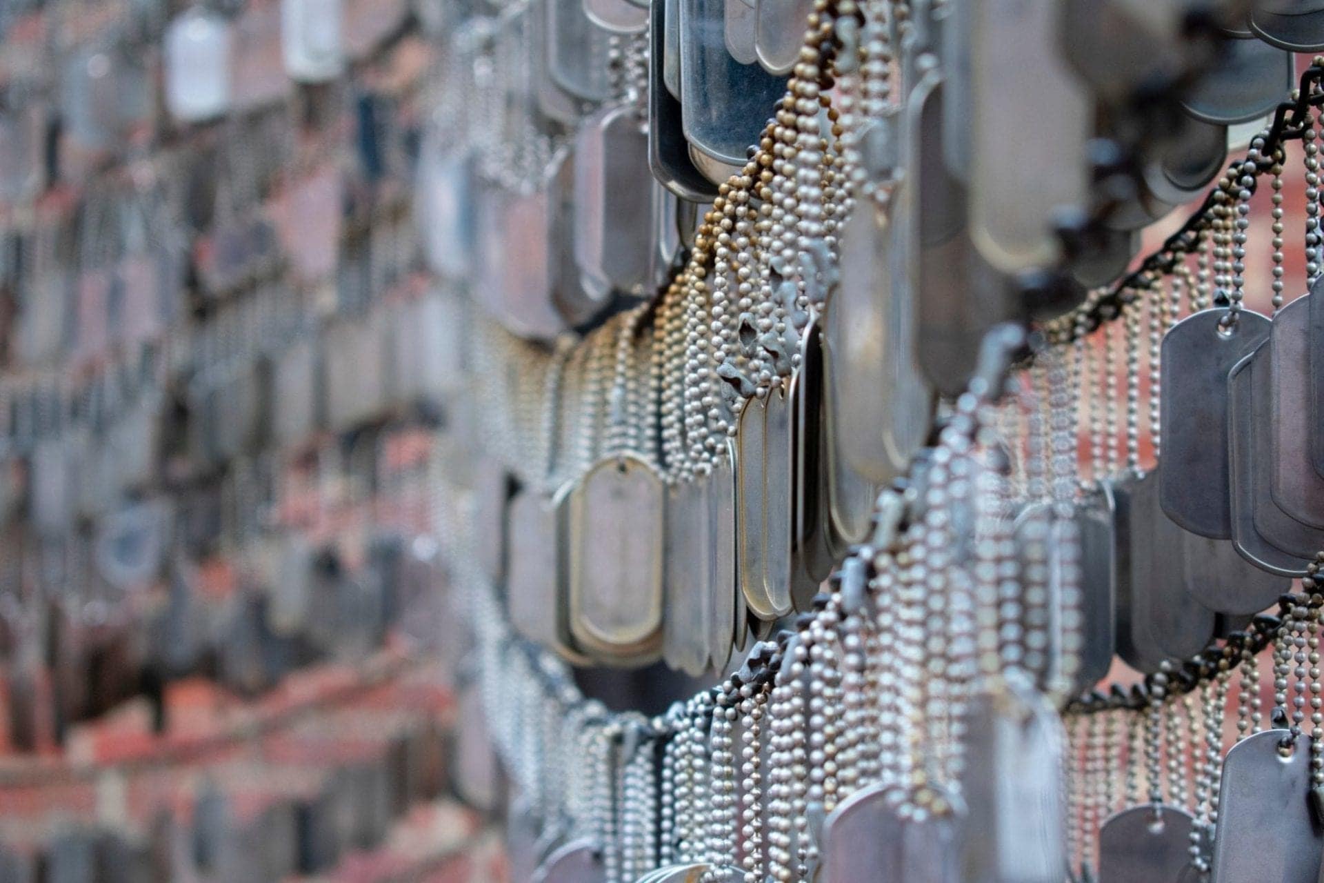 Collection of dog tags